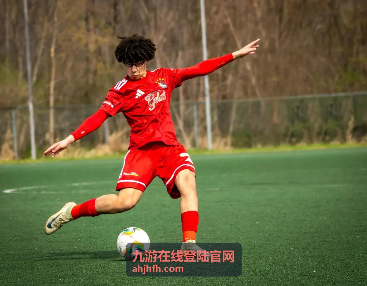 九游在线登陆官网账号安全设置界面截图